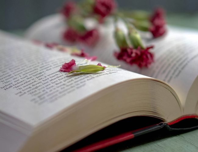 christine-keller-2AyKzWsEJ10-unsplash